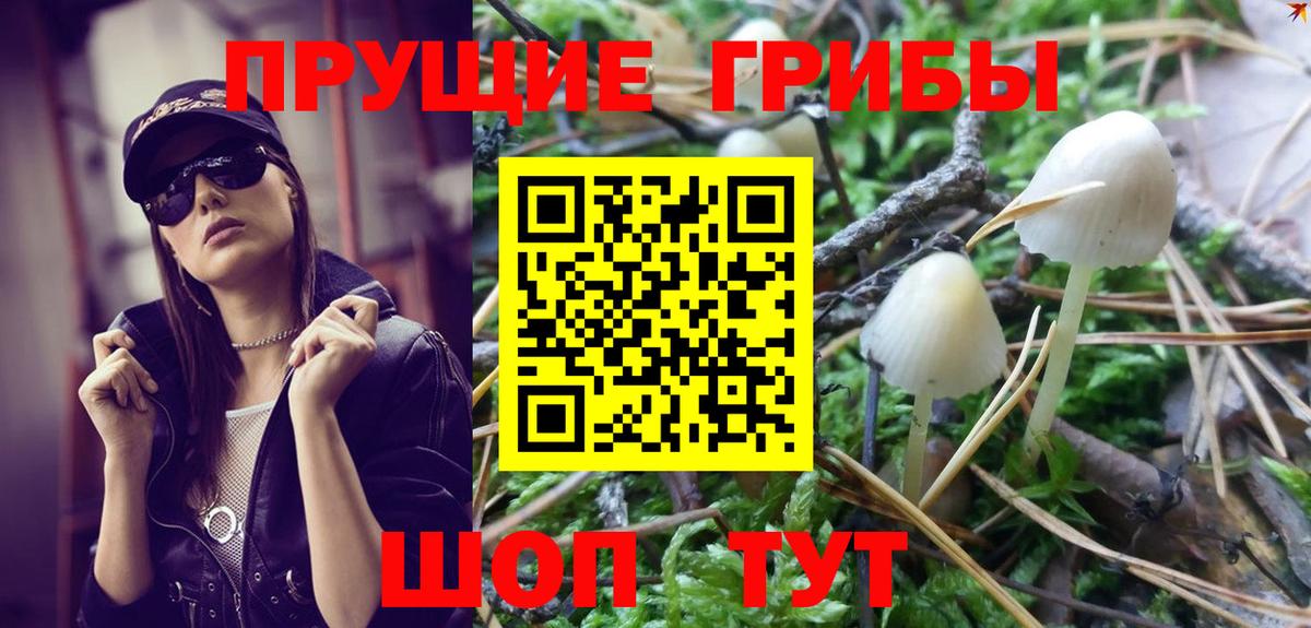 Рубцовск  Псилоцибиновые грибы GOLDEN TEACHER  Вход с VPN  Псилоцибиновые грибы ЛСД 