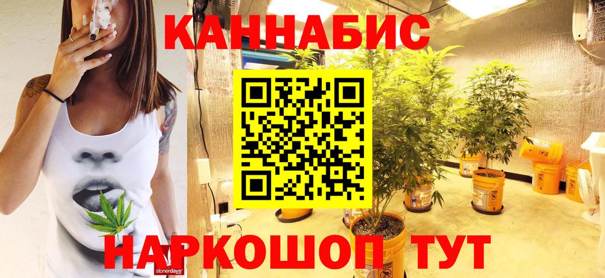 Канабис семена Рубцовск